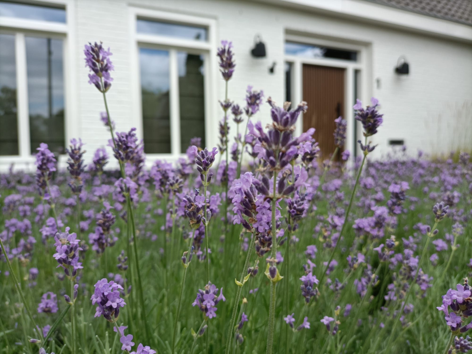 WhatsApp Image 2025-06-28 at 12.53.25_2cbe584e